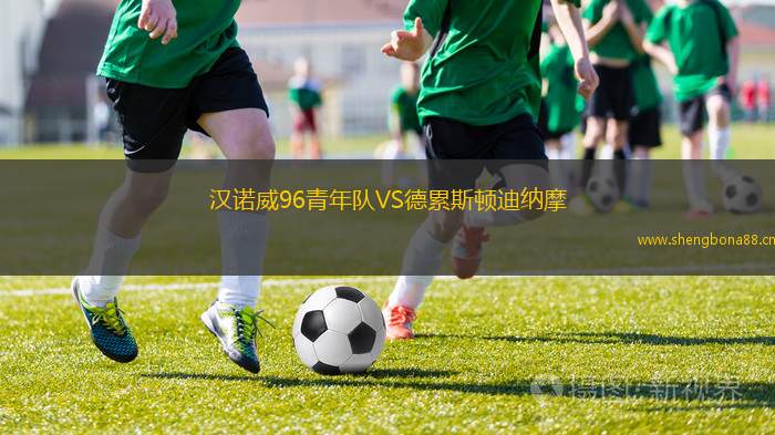 漢諾威96青年隊(duì)VS德累斯頓迪納摩