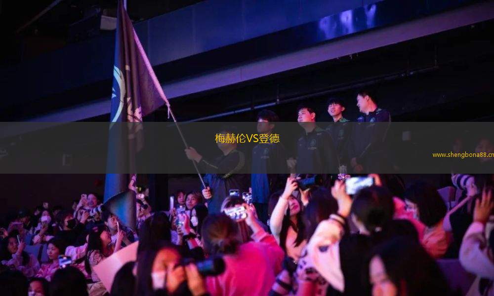 梅赫倫VS登德