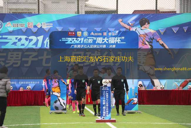 上海嘉定匯龍VS石家莊功夫