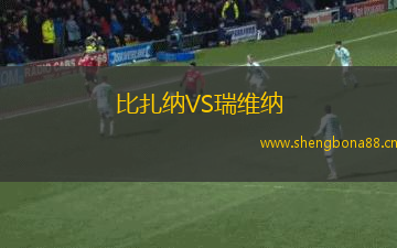 比扎納VS瑞維納