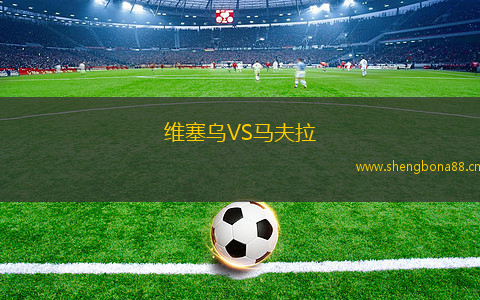 維塞烏VS馬夫拉