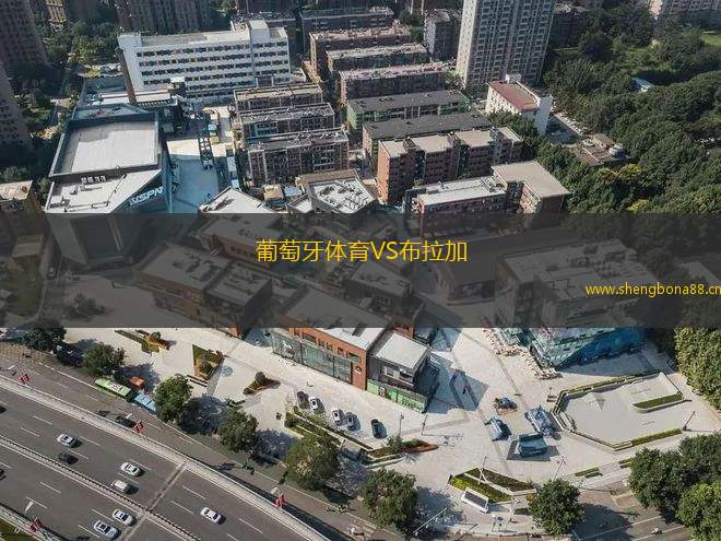 葡萄牙體育VS布拉加