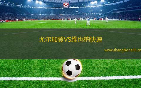 尤爾加登VS維也納快速