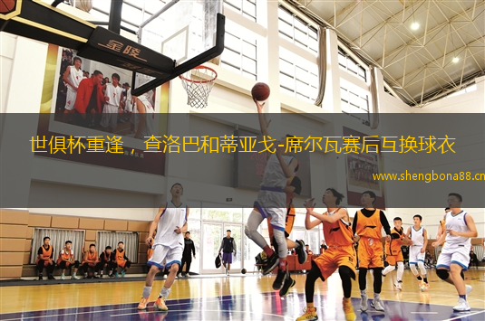 世俱杯重逢，查洛巴和蒂亞戈-席爾瓦賽后互換球衣