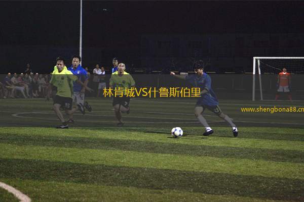 林肯城VS什魯斯伯里