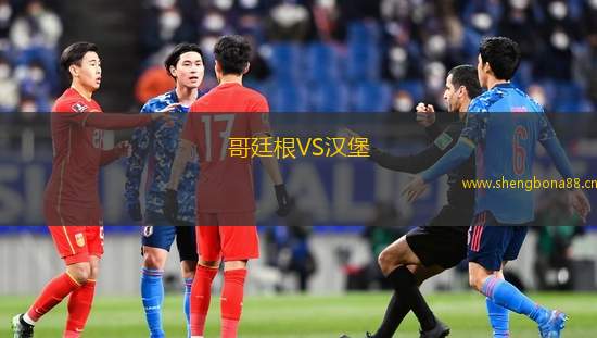 哥廷根VS漢堡