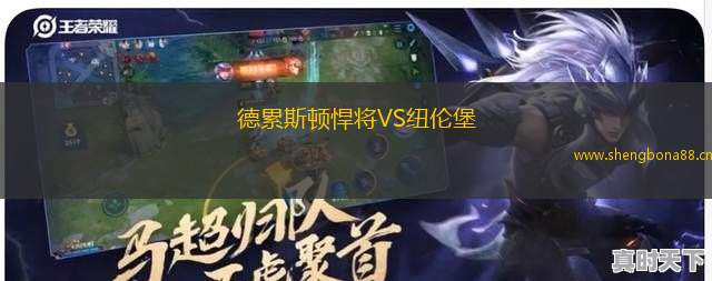 德累斯頓悍將VS紐倫堡