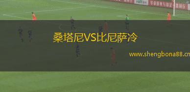 桑塔尼VS比尼薩冷