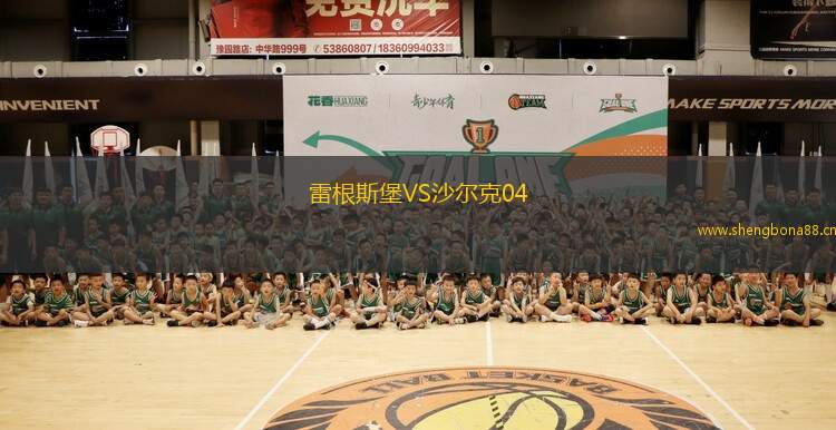 雷根斯堡VS沙爾克04