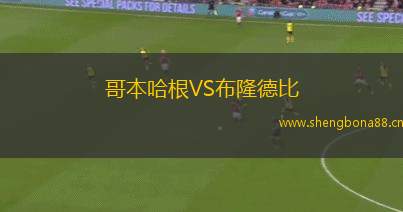 哥本哈根VS布隆德比