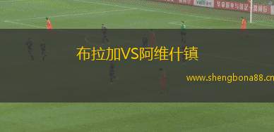 布拉加VS阿維什鎮(zhèn)