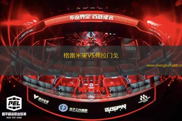 格雷米奧VS弗拉門戈