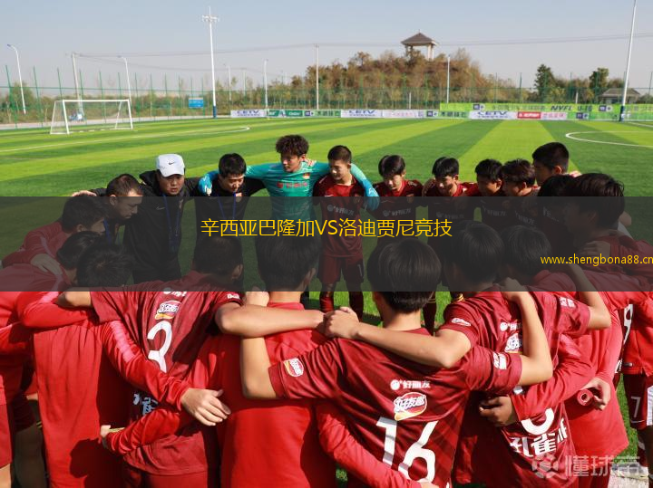 辛西亞巴隆加VS洛迪賈尼競技