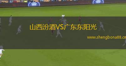 山西汾酒VS廣東東陽光