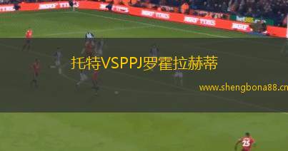 托特VSPPJ羅霍拉赫蒂