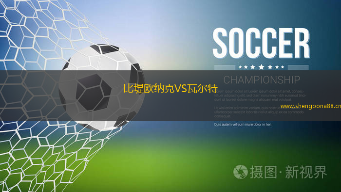 比堤歐納克VS瓦爾特