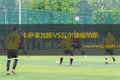 卡薩萊加斯VS瓦爾德佩納斯