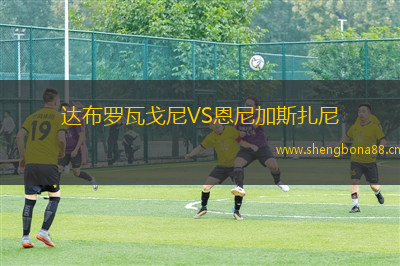達(dá)布羅瓦戈尼VS恩尼加斯扎尼