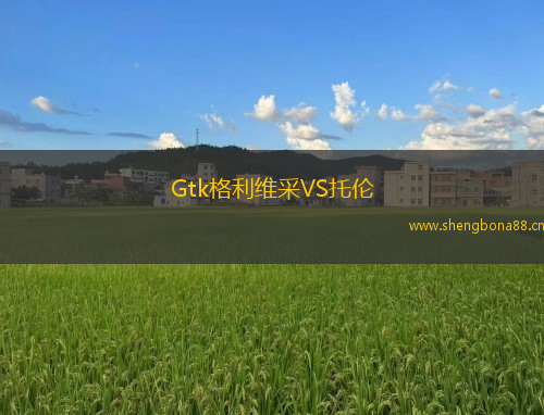 Gtk格利維采VS托倫
