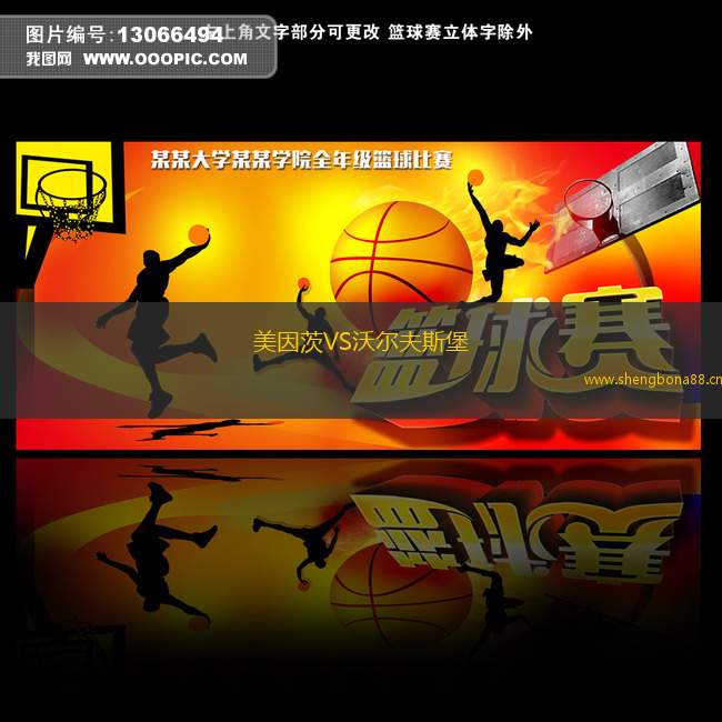 美因茨VS沃爾夫斯堡