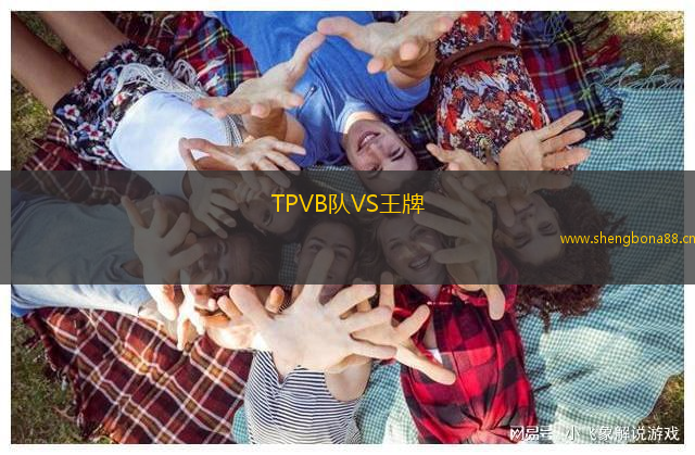 TPVB隊(duì)VS王牌