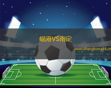 峴港VS南定