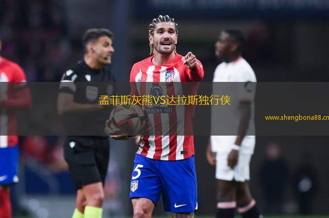 孟菲斯灰熊VS達拉斯獨行俠
