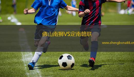 佛山南獅VS定南贛聯(lián)