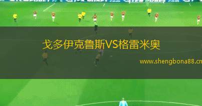 戈多伊克魯斯VS格雷米奧