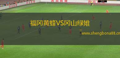 福岡黃蜂VS岡山綠雉