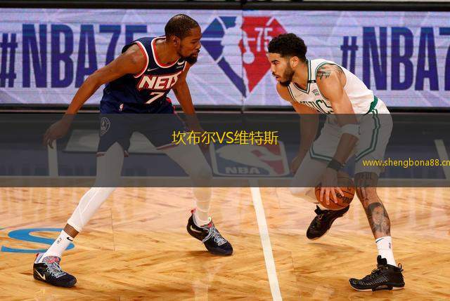坎布爾VS維特斯