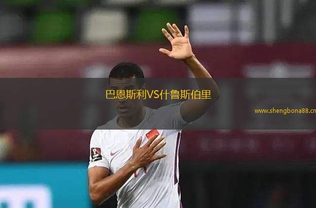 巴恩斯利VS什魯斯伯里