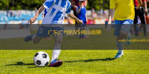 廣東廣州豹VS佛山南獅