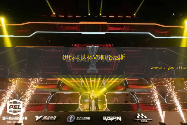 伊伐馬達(dá)林VS佩格尼斯
