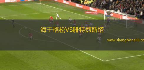 海于格松VS腓特烈斯塔
