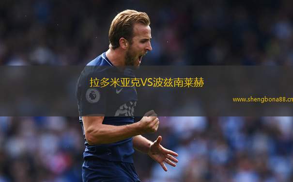 拉多米亞克VS波茲南萊赫