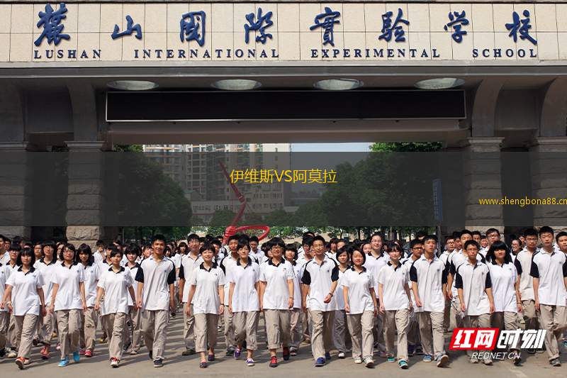 伊維斯VS阿莫拉