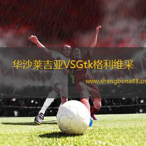 華沙萊吉亞VSGtk格利維采