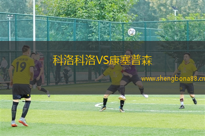 科洛科洛VS康塞普森