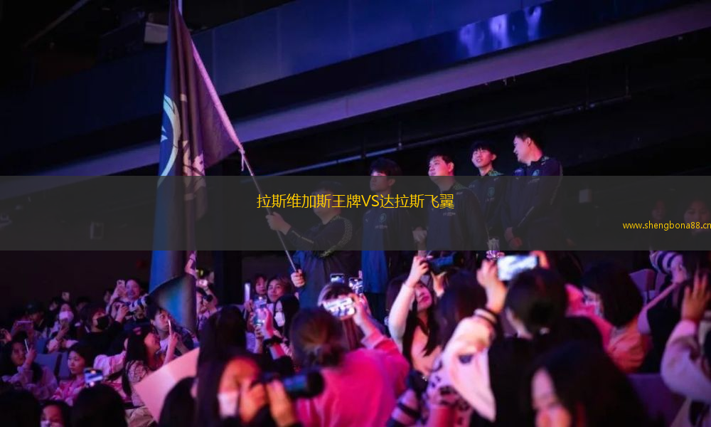 拉斯維加斯王牌VS達(dá)拉斯飛翼