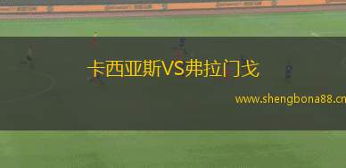 卡西亞斯VS弗拉門戈
