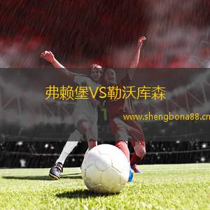 弗賴堡VS勒沃庫(kù)森