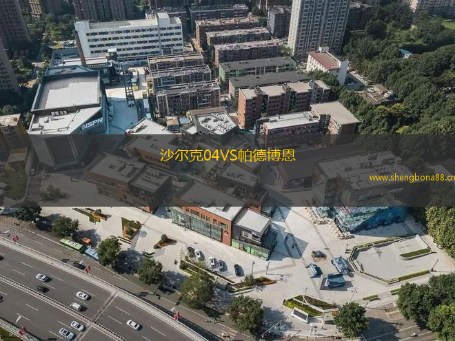 沙爾克04VS帕德博恩