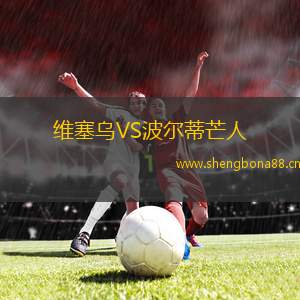 維塞烏VS波爾蒂芒人