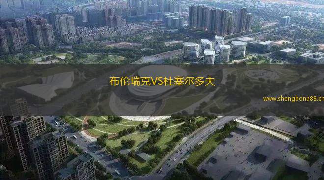 布倫瑞克VS杜塞爾多夫
