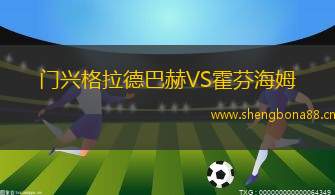 門興格拉德巴赫VS霍芬海姆