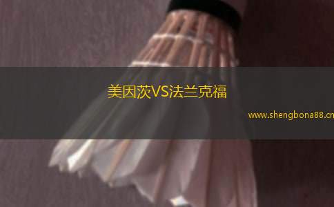 美因茨VS法蘭克福