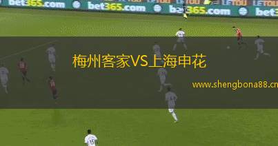 梅州客家VS上海申花