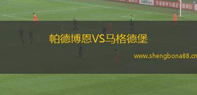 帕德博恩VS馬格德堡