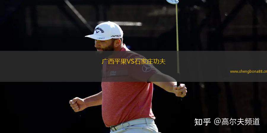 廣西平果VS石家莊功夫